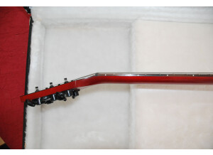 Gibson N-225 (62990)