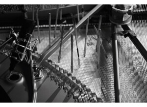 Spitfire Audio Hauschka Composer Toolkit (39302)