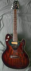 Ibanez Intercity