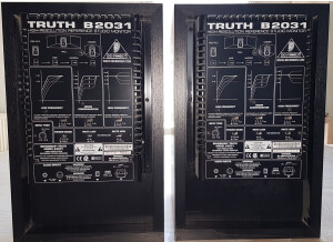 Behringer Truth B2031A (39986)