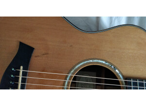 PRS Custom 24 20th Anniversary (55578)