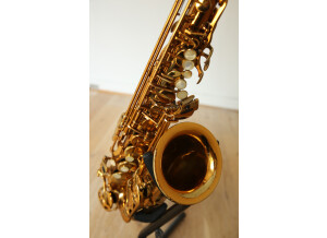 Selmer Reference 54 Alto (3647)