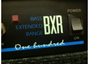 Fender BXR 100 (7064)