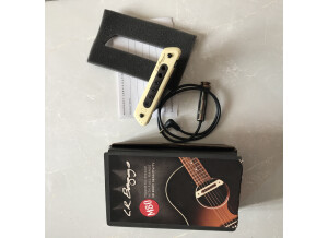 L.R. Baggs M80 (19440)