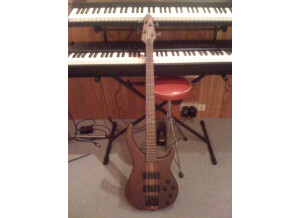 Peavey Cirrus 4 Bxp Natural