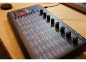 Dave Smith Instruments Evolver (81394)