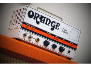 orange-tiny-terror-2618891