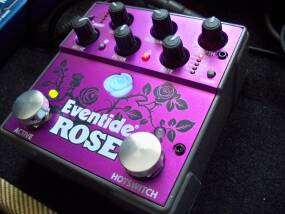 Eventide Rose