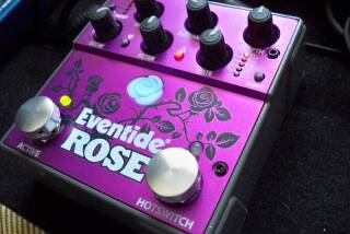 Eventide Rose