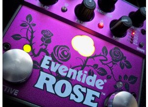 Eventide Rose (22546)