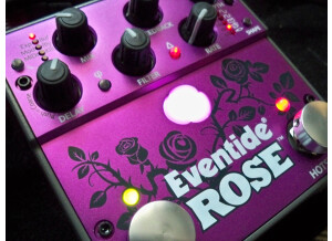 Eventide Rose (63934)
