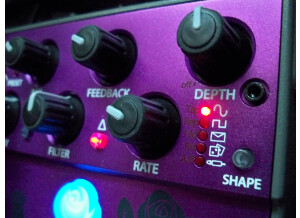 Eventide Rose (48576)
