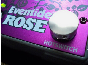 Eventide Rose (25489)