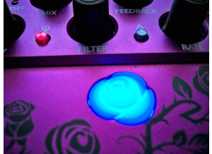 Eventide Rose (58742)
