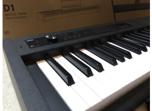 Korg D1 (59062)