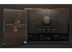 Native Instruments String Ensemble