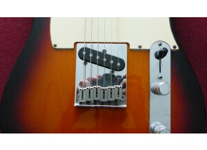 Fender American Standard Telecaster [1988-2000] (23110)
