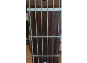 Fender American Standard Stratocaster LH [2008-2012] (95610)