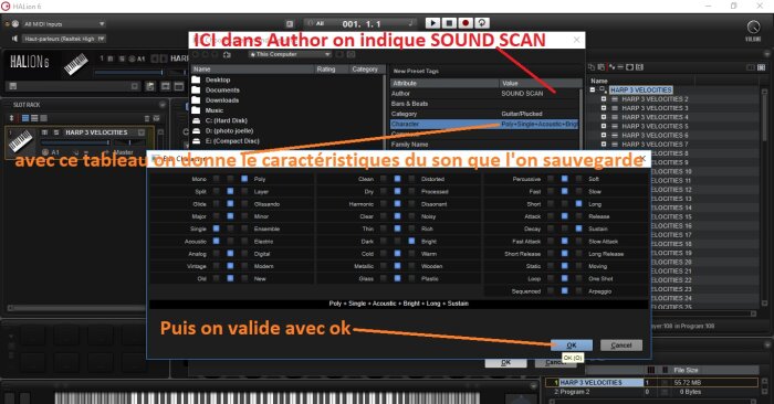 Steinberg HALion : image 09 on renseigne les caracterstiques du son Steinberg HALion : image 09 on renseigne les caracterstiques du son