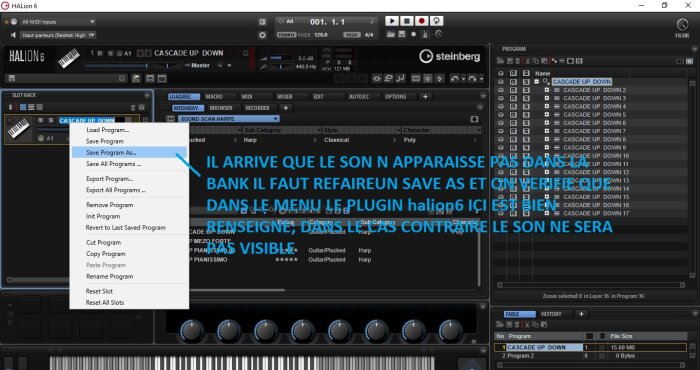 Steinberg HALion 6 : image 24 IL ARRIVE QUE LE SON N APPARAISSE PAS DANS LA BANK IL FAUT REFAIREUN SAVE AS Steinberg HALion 6 : image 24 IL ARRIVE QUE LE SON N APPARAISSE PAS DANS LA BANK IL FAUT REFAIREUN SAVE AS