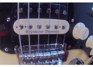 Fender Player Stratocaster HSS (70486)