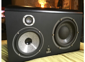 Focal SM9 (42349)