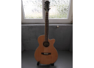 Epiphone PR-4E Acoustic/Electric Player Pack (5569)