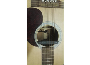 Fishman Rare Earth Mic Blend (17714)