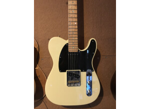Fender Special Edition Lite Ash Telecaster (38028)
