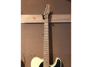 Fender Special Edition Lite Ash Telecaster (21389)