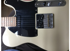Fender Special Edition Lite Ash Telecaster (44314)