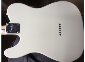 Fender Special Edition Lite Ash Telecaster (46469)