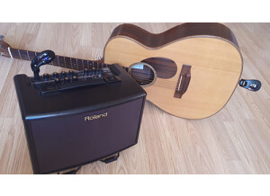 Roland AC-33-RW (53900)