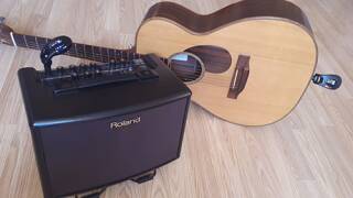 Roland AC-33-RW