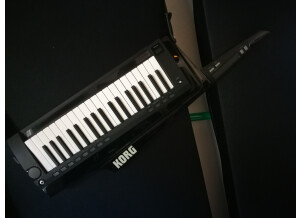 Korg RK-100S (22982)