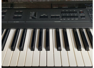 Korg Dw-8000 (84616)