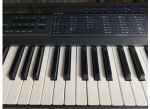 Korg Dw-8000 (91734)