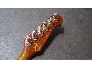 Epiphone Joe Bonamassa "Treasure" Firebird-I Outfit (40863)