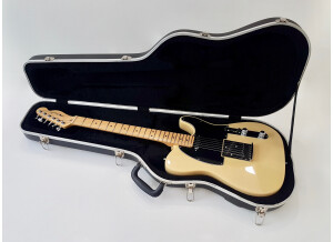 Fender American Standard Telecaster [1988-2000] (38645)