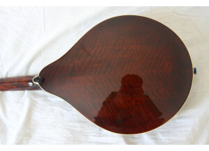 Eastman MD605 (41282)