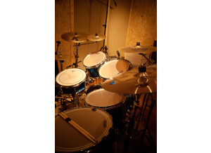 Ludwig Drums Classic Birch