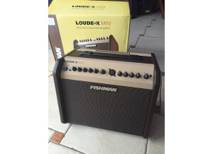 Fishman Loudbox Mini (28286)