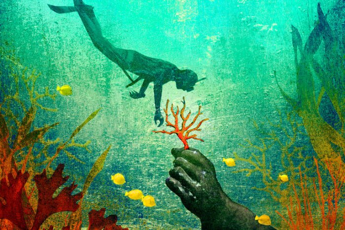 dessin_aleale_-_peche_sous-marine_-_2018 dessin_aleale_-_peche_sous-marine_-_2018