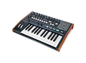 Arturia MiniBrute 2 (13446)