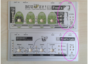 Fred's Lab Buzzzy! (92346)