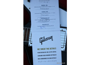 Gibson Firebird 2018 (57068)