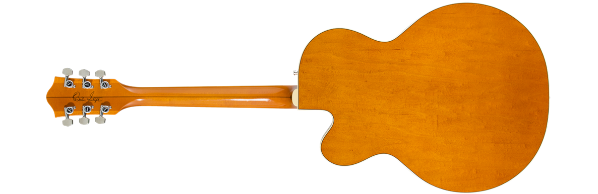 2401210812_gtr_back_001_rl