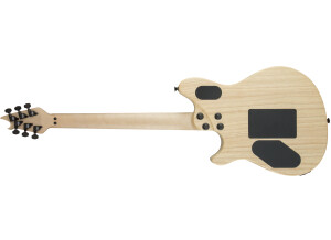 EVH Limited Edition Wolfgang Special Ash (Back)