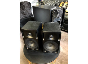 Genelec 1091A (73680)