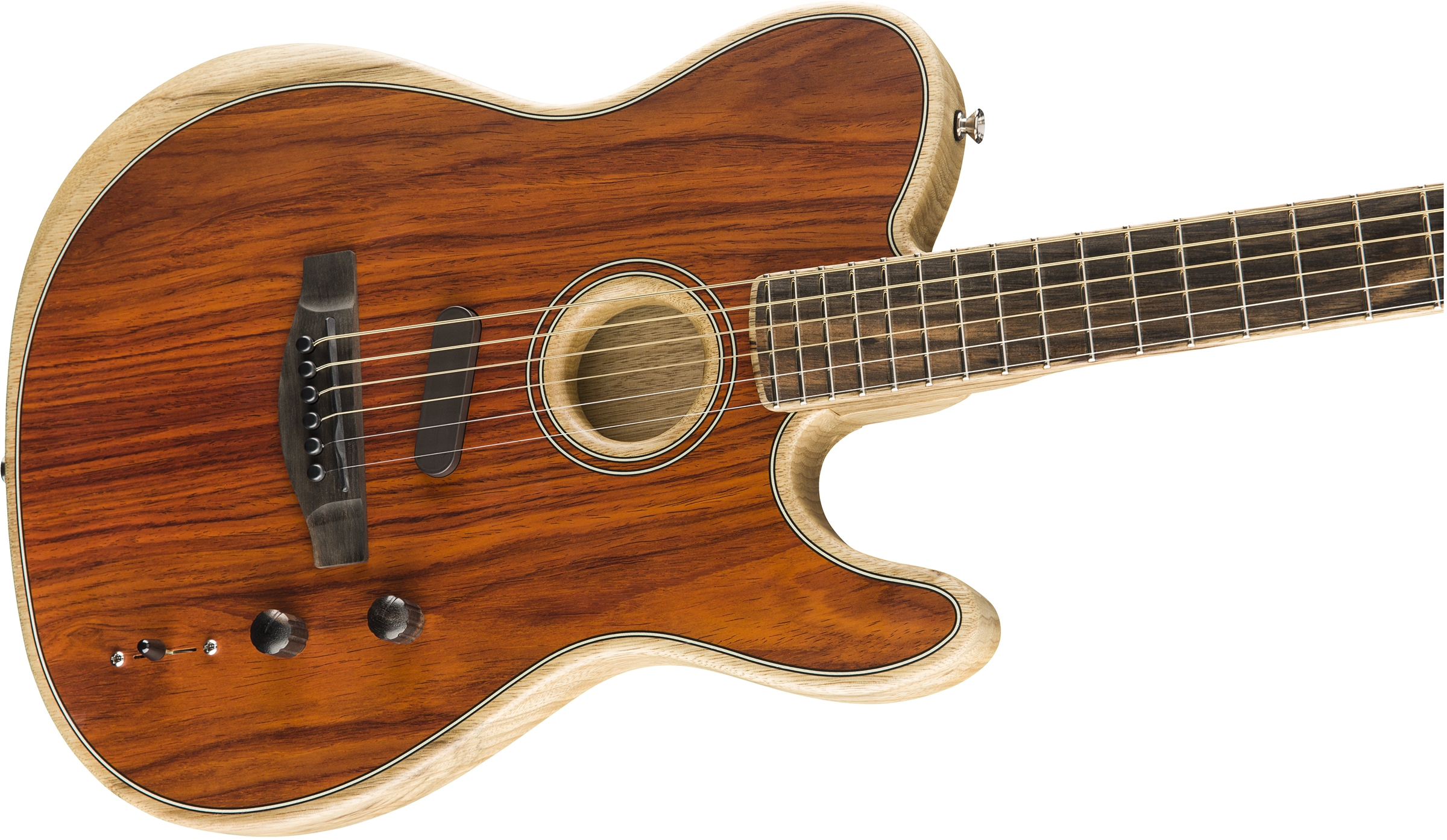 Cocobolo_cntbdyright_001_nr